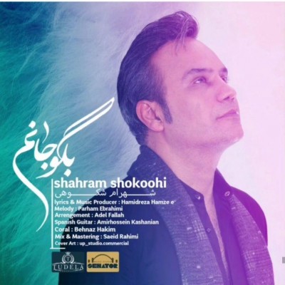 Shahram Shokoohi  –  Bego Janam
